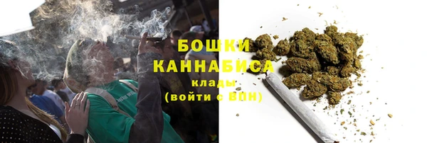 дурь Надым